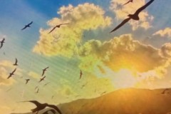 杜月徵马贝拉赛场头球建功，成为中国留洋球员焦点