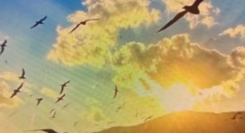 杜月徵马贝拉赛场头球建功，成为中国留洋球员焦点